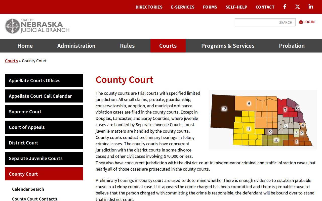 Nebraska bench warrant court-routing reference showing the Judicial Branch County Court overview